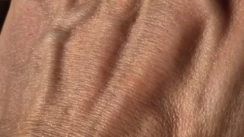 Close-up of the skin texture of a man's hand with deep pores and veins Stock Footage 318481855