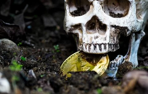 Close up of Skull biting bitcoin on the ground Leaves dry on the ground and t Foto stock