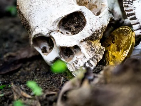 Close up of Skull biting bitcoin on the ground Leaves dry on the ground and t Stock Photos