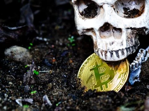 Close up of Skull biting bitcoin on the ground Leaves dry on the ground and t Stock Photos