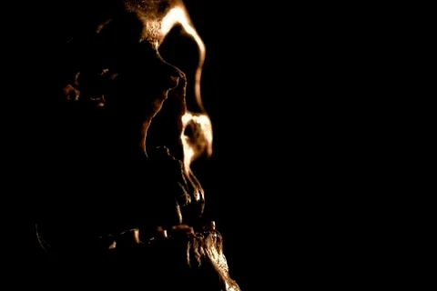 Close up of skull on black background. Stock Photos