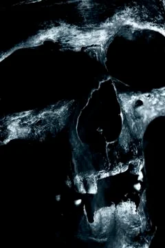Close up of skull on black background. Stock Photos