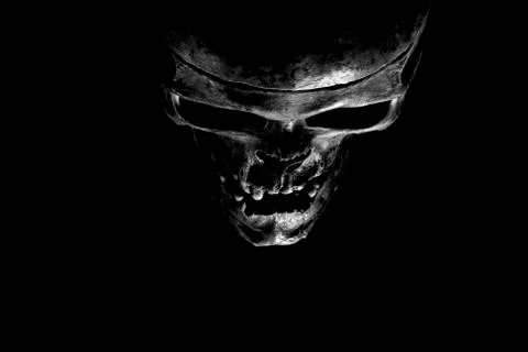 Close up of skull on black background. Stock Photos
