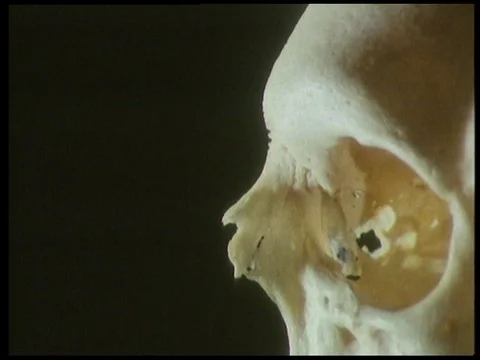 Close up of skull, brain nerves and two men in masks talking to each other, 1985 Video stock 136674117