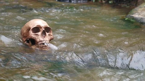 Close Up Skull no rain, Skull in river, Stock-Footage 73755394