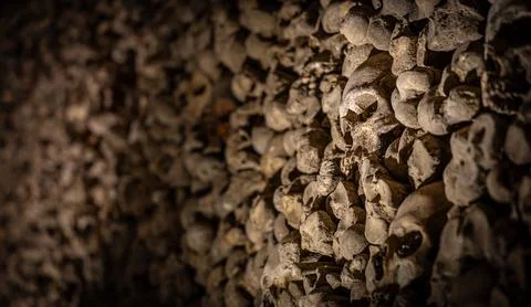 Close-up skull in ossuary bone wall, shallow depth of field, catacombs Stock Photos
