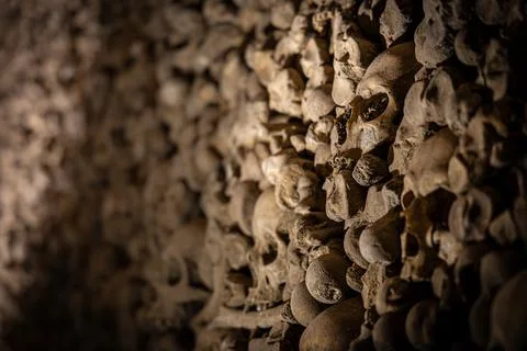 Close-up skull in ossuary bone wall, shallow depth of field, catacombs Stock Photos