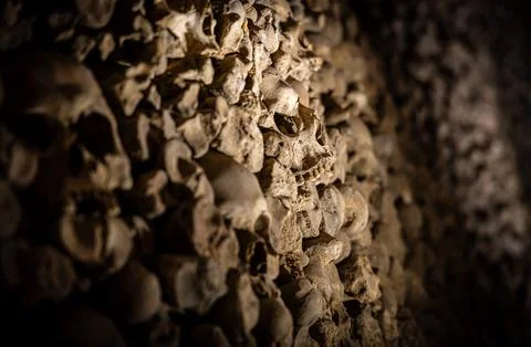 Close-up skull in ossuary bone wall, shallow depth of field, catacombs Foto stock
