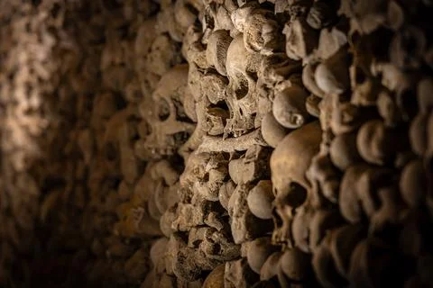 Close-up skull in ossuary bone wall, shallow depth of field, catacombs Stock Photos