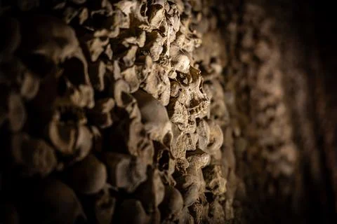Close-up skull in ossuary bone wall, shallow depth of field, catacombs Stock Photos