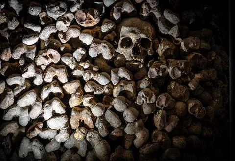 Close-up skull in ossuary bone wall, shallow depth of field, catacombs Foto stock