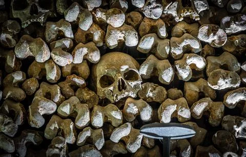 Close-up skull in ossuary bone wall, shallow depth of field, catacombs Stock Photos