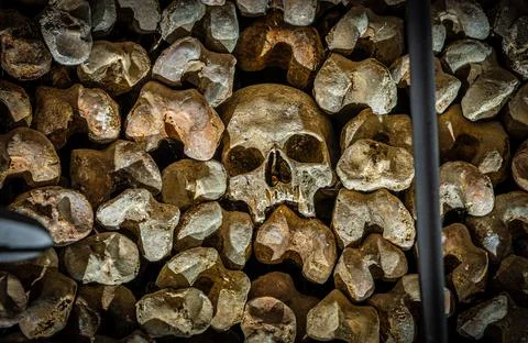 Close-up skull in ossuary bone wall, shallow depth of field, catacombs Stock Photos