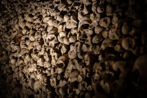 Close-up skull in ossuary bone wall, shallow depth of field, catacombs Stock Photos