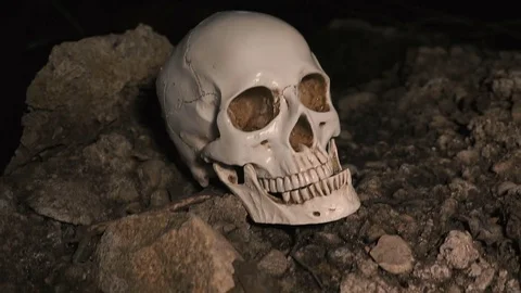 Close Up Skull in river under the bridge. The concept of death on the water. Stock Footage 83665289