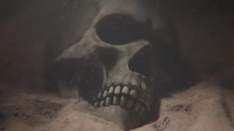 Close up of a skull in sand underwater Stock Footage 253637342