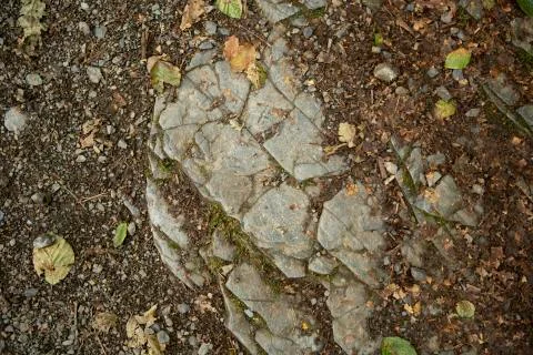 Close up of slate Stock Photos