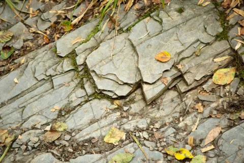 Close up of slate Foto stock