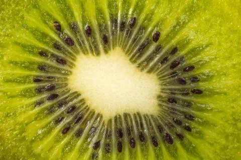 Close up of a slice of kiwi fruit Stock Photos