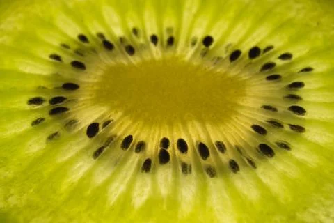 Close up of a slice of kiwi fruit Stock Photos