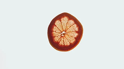 Close-up Slice of Orange on Light Background Stock Footage 306351654