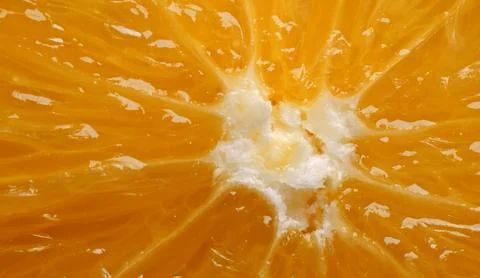 A close-up of a slice of orange Stock Photos