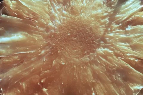 Close up slice pineapple background texture Stock Photos