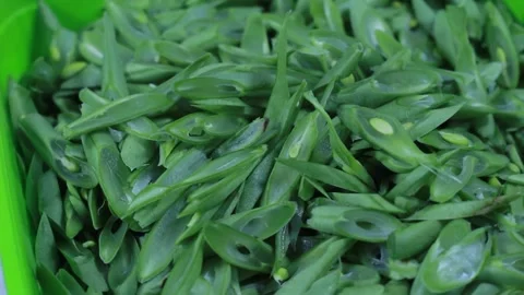 Close up of sliced green beans, rotating with rotation display Stock Footage 297405140