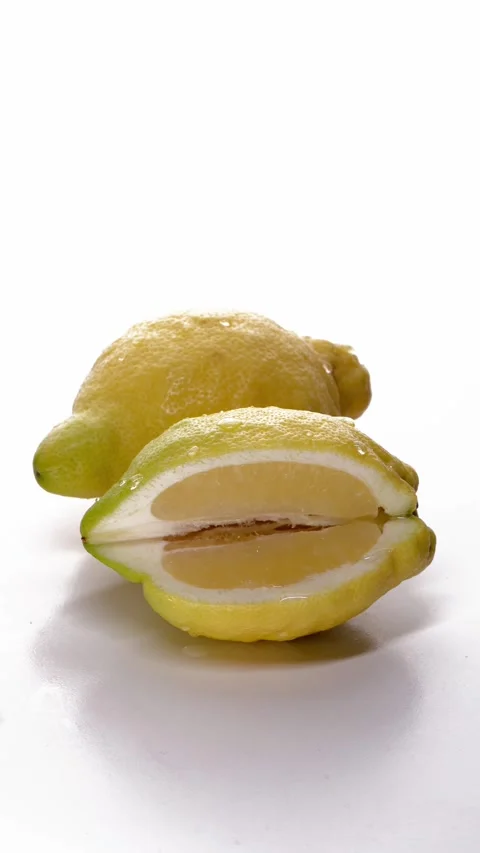 Close-up of Sliced Lemon Stock Footage 337516490