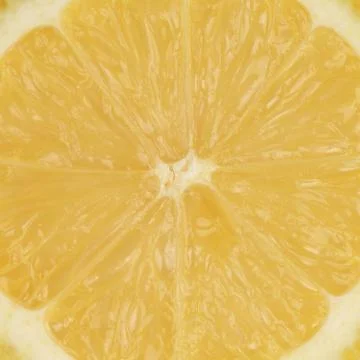 Close-up of a sliced lemon Stock Photos