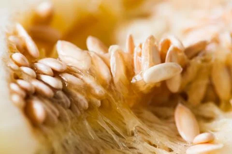 Close up of sliced melon fruit. Melon seeds. Toned. Stock Photos