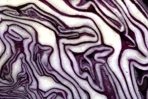 Close up of a sliced red cabbage pattern abstract background Stock Photos