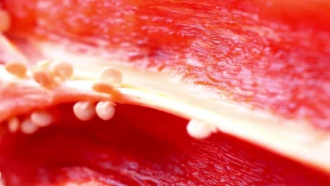 Close up of sliced red chili pepper showing seeds Vídeo Stock 332284726