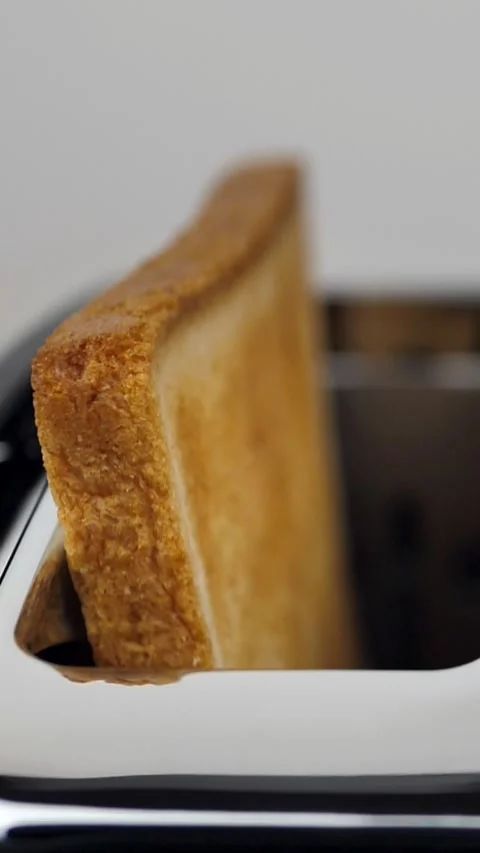 A close-up of sliced toasted white bread flying out of an electric toaster in Stock Footage 307797595