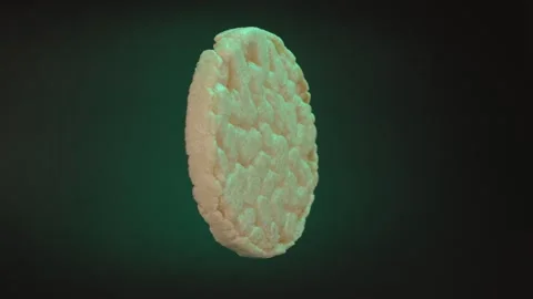 Close up slices of orange on a black background with rotating movement. Stock Footage 303070049