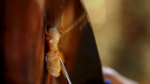 Close-up. Slicing squid. Slow motion. 120 fps. Vertical video Stock Footage 172439990