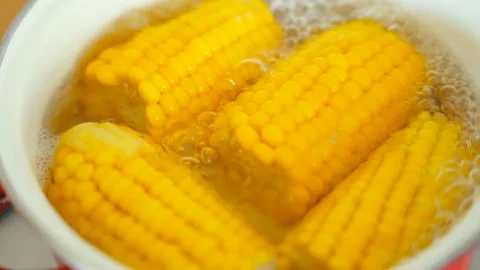 Close up slide motion of cooking yellow corn cobs in boiling water in a red Stock Footage 263545108