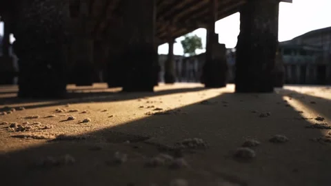 Close up slider low angle motion over sunlit sandy shore under pier with Stock Footage 314765248