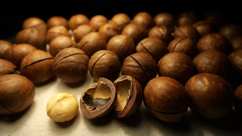 Close Up Slider Shot of Macadamia Nuts in 50p Stock Footage 336722454