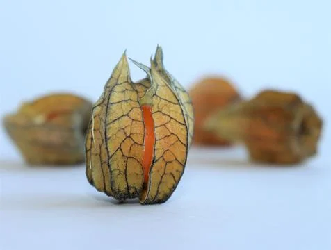 Close-up of a slightly opened physalis fruit on a light background. Stock Photos