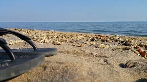 Close Up Of Slippers At The Beach Stock Footage 219411144