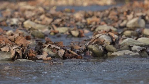  Close Up SloMo Stream Running Video stock 92330638