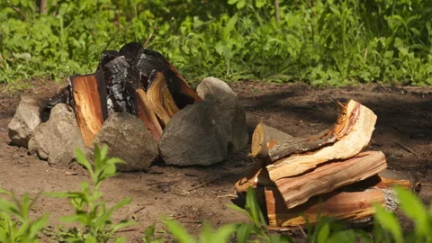 Close-up of a Slow Campfire Among Granite Stones in Spring Forest Stock Footage 335230560