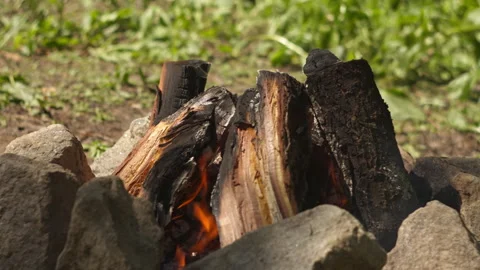 Close-up of a Slow Campfire Among Granite Stones in Spring Forest Stock Footage 335230706