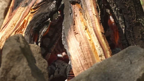Close-up of a Slow Campfire Among Granite Stones in Spring Forest Video stock 335230780