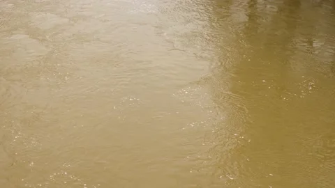 Close-up of the slow flow of a muddy river with brown water Stock Footage 170008653
