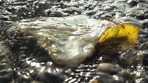 Close-up slow mo water flowing stream Video stock 82458886
