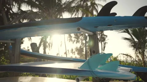 Close-up slow motion along of large surfboards on a board rack in the surf camp Stock Footage 244591968