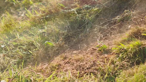 Close Up Slow Motion of Bicycle Rolling Down Dry Grass and Kicking Up Dirt Vídeos de archivo 317105141