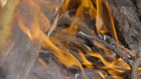 Close up slow motion camp fire Stock Footage 346189665
